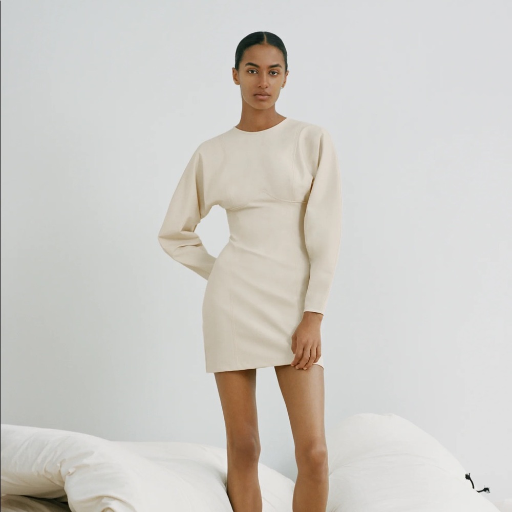 Zara neoprene dress (NWT)